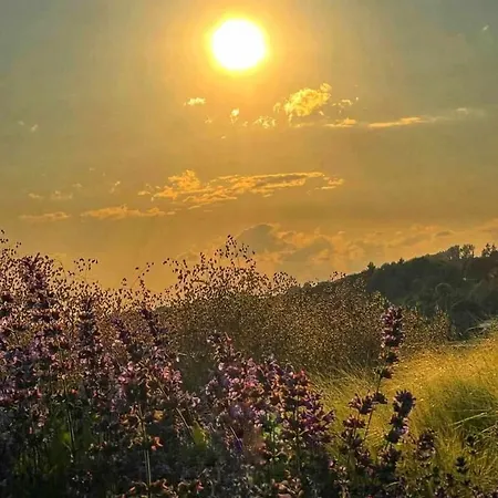 Haus Friedel 2 Apartment *