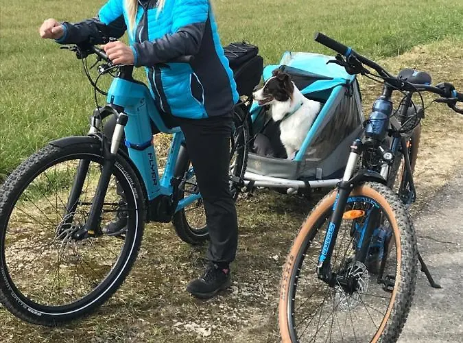 Lägenhet Haus Friedel 2