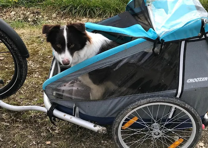 Haus Friedel 2 * Uberlingen